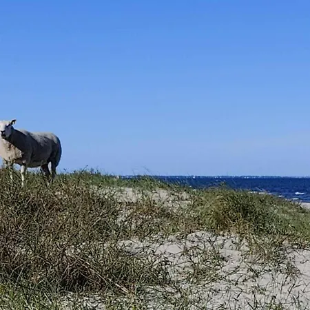 North Beach Gasthuis