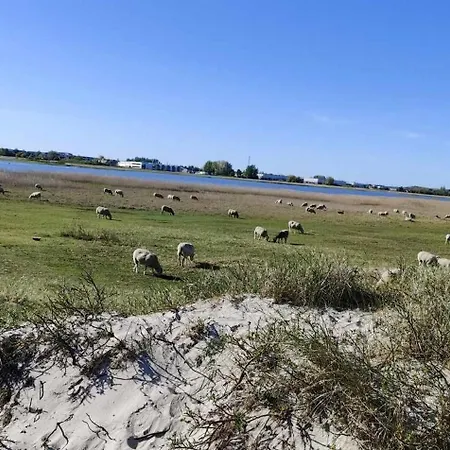 Pensjonat North Beach